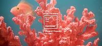 Цвет года - Живой коралл